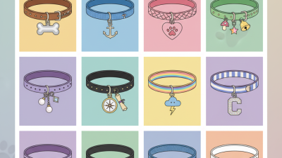 Top 10 Easy Ways to Add Charms to Your Pet's Collar