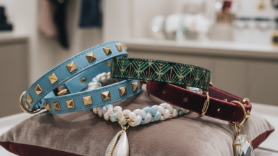 How to Make Pet Collars Look Stylish and Trendy?