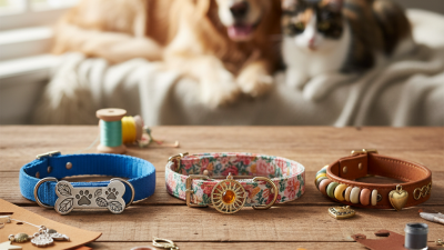 How to Personalize Pet Collars Easily and Affordably?