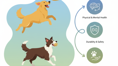 Best Dog Training Fetch Toys Tips for Effective Playtime?