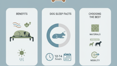 Elevated Dog Bed Benefits and Tips for Choosing the Best