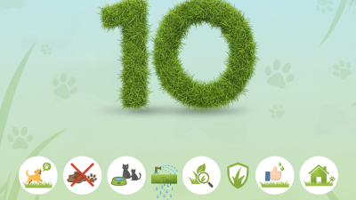 Top 10 Pet Friendly Artificial Grass in Plymouth for Buyers
