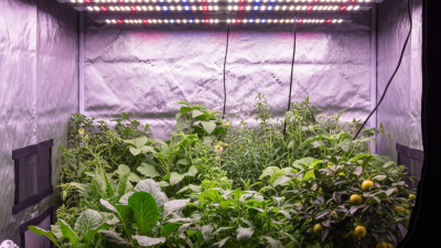 2026 Best Samsung LM301B LED Grow Light Review and Features?