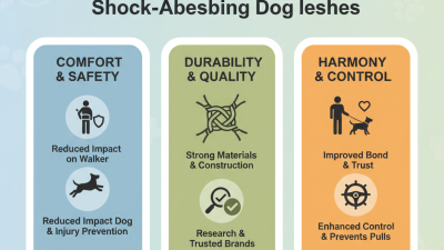 Best Shock Absorbing Leash for Dogs What to Look For?