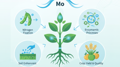 What is Molybdenum Fertilizer and How is it Used?