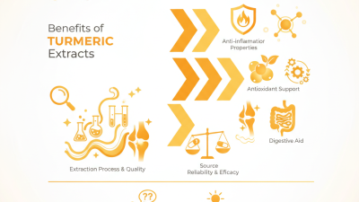 Top Benefits of Turmeric Extracts for Global Buyers?