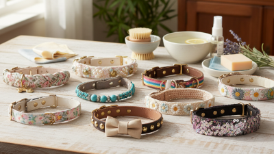 10 Best Ways to Clean Decorative Pet Collars?