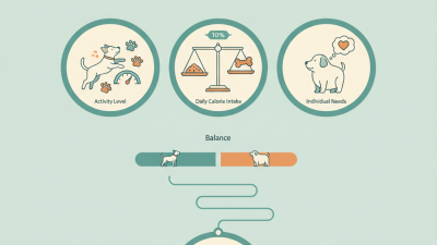 How Often Should I Give My Dog Treats Tips for Pet Owners?