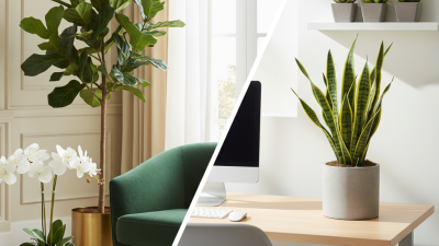 China Top 10 Tips for Choosing Silk or Plastic Plants?