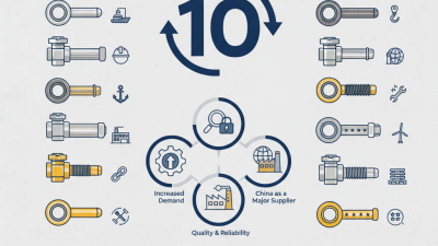 Top 10 Rigging Eye Bolts in China for Global Buyers?