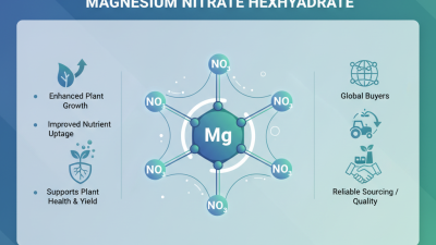 2026 Top Benefits of Mg Nitrate Hexahydrate for Global Buyers?
