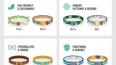 Trendy Pet Collar Ideas for Stylish Pets Worldwide?