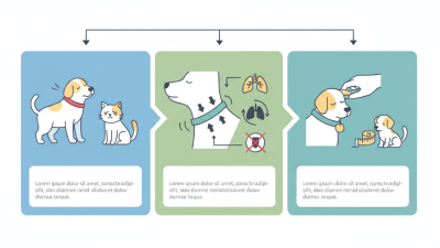 What to Do If Your Pet Collar Is Too Tight?