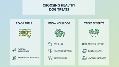 2026 Best Tips for Choosing Healthy Treats for Dogs?