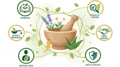 2026 Best Herbal Remedies How To Use Them Effectively?