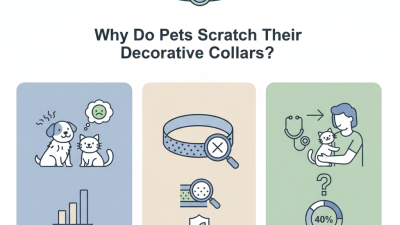 Why Do Pets Scratch Their Decorative Collars?