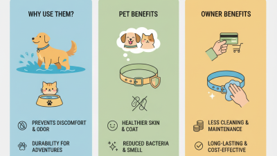 2026 How to Choose the Best Waterproof Collars for Pets Why Are They Useful?