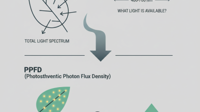 How to Understand the Difference Between PAR and PPFD?