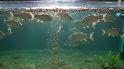 What is the Difference Between Floating and Sinking Feed?