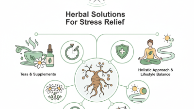 Top Herbal Solutions For Stress Relief You Need To Know?