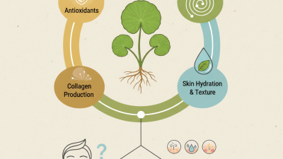 2026 How to Use Centella Asiatica for Skin Benefits?