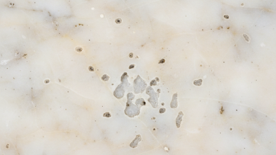 How to Identify What Causes Pitting in Old Marble Surfaces?
