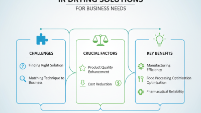 Top Ir Drying Solutions for Your Business Needs?