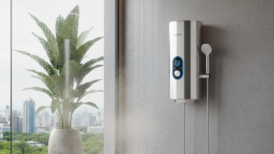 Top Ducha Water Heater Models for 2026 What to Look For?
