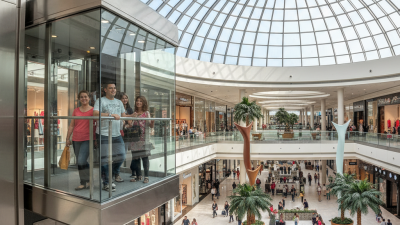 How to Understand the Popularity of Panoramic Elevators in Malls?
