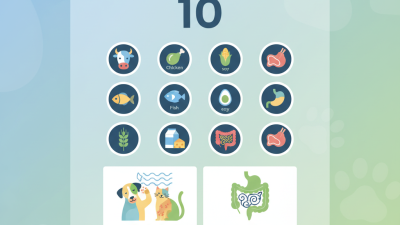 10 Best Causes of Food Allergies in Pets Revealed?