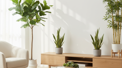Where to Place Artificial Plants for Best Feng Shui Benefits?