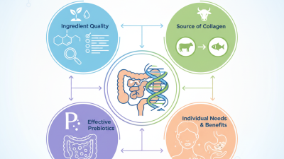 How to Choose the Best Prebiotic Collagen for Your Needs?