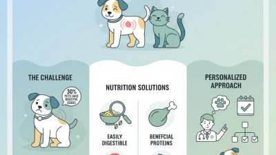 How to Choose the Best Food for Pets with Sensitive Stomachs?