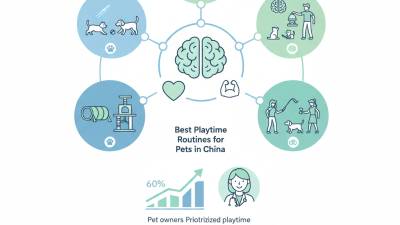 Best Playtime Routines for Pets in China