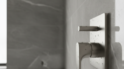 How to Choose the Best Shower Water Handle for Your Home?