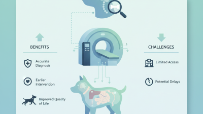 2026 Best Benefits of Advanced Diagnostic Imaging for Pets
