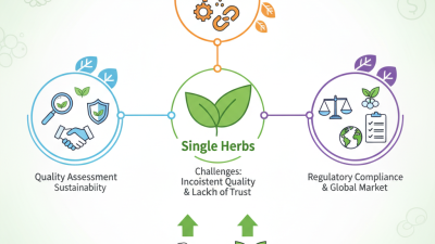How to Source Single Herbs Effectively for Your Business?