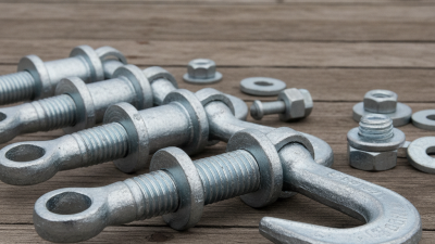 Top Galvanised Rigging Screw Guide for Global Buyers?