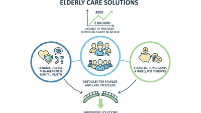 What are the Key Challenges in Elderly Care Solutions?