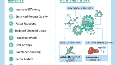 Top 10 Enzyme Benefits in Food Processing How Do They Work?