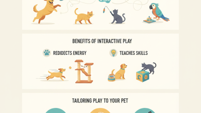 How To Use Play To Improve Your Pets Behavior?