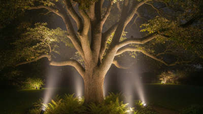 Why Is Placement Key for Spike Lights in Tree Lighting?