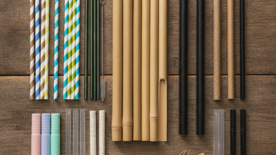 Top 10 Disposable Straws Buyers Need to Know About