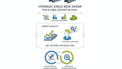 2026 Best Hydraulic Eagle Beak Shear for Global Buyers?