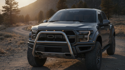 Why Do People Install Bull Bars on Trucks for Protection?