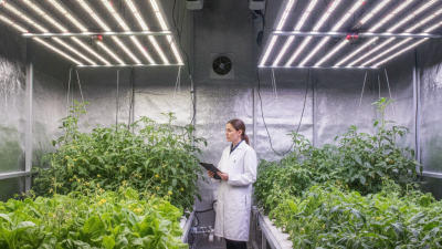 Which is Better Bar Grow Lights or Quantum Boards?