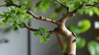How to Repair a Broken Branch on an Artificial Tree?