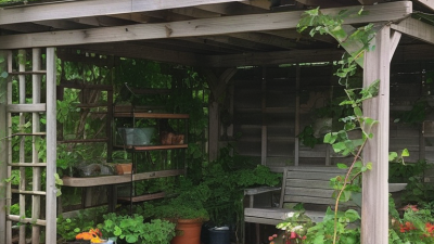 Top 10 Garden Trellis Ideas for Stunning Outdoor Spaces?