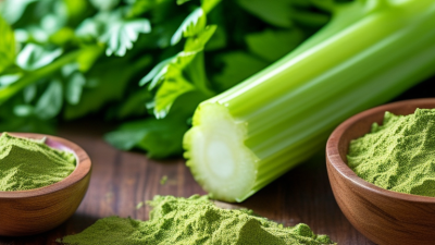 Top Benefits of Apigenin Powder for Health in 2026?
