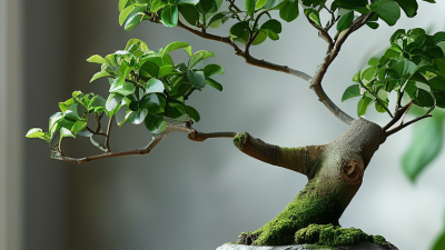 How to Prune Houseplants for Bushier Growth Tips?